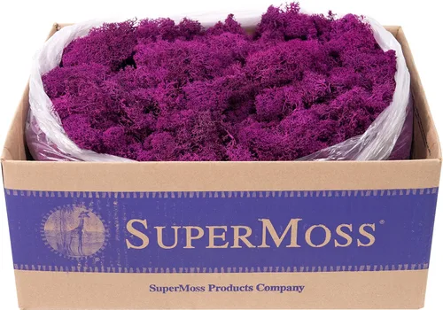 Miniatura 33 de Super Moss 21669 - Musgo de reno preservado, Chartreuse, 8 onzas (200 pulgadas cúbicas)