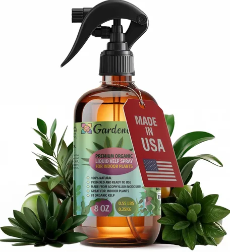 Miniatura 25 de GARDENERA Spray orgánico profesional de algas marinas para plantas AGLAONEMA – 8 oz – Rocío fertilizante de algas marinas y algas marinas totalmente