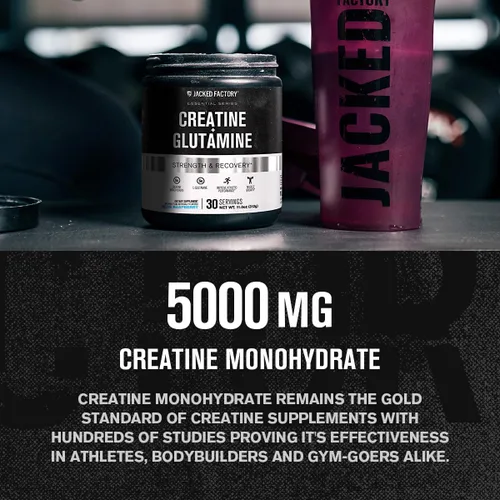 Miniatura 3 de Jacked Factory Creatina + Glutamina - Suplemento de creatina con L-Glutamina para la recuperación muscular, crecimiento muscular, mayor fuerza