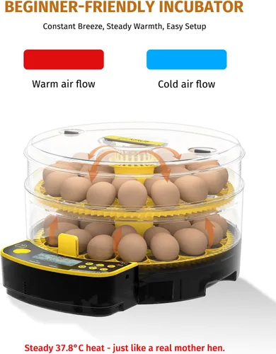 Miniatura 2 de JUJOJB Incubadora de 48 huevos para incubar huevos, doble capa con girador automático de huevos, control de temperatura y humedad, vela de huevos