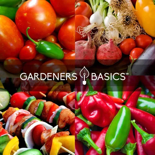 Miniatura 5 de Gardeners Basics, Heirloom - Paquetes de semillas de cultivo de salsa caliente, 8 variedades de habanero, jalapeño, pimientos serranos, romana