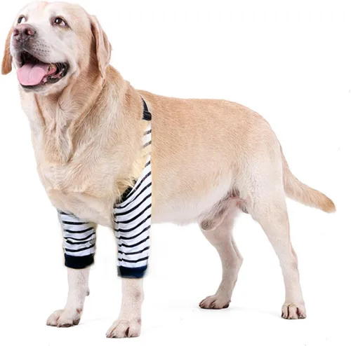 Miniatura 5 de Protector de codo para perro, coderas con almohadilla de malla para perros medianos y grandes para evitar lamer heridas (automóvil, 4XL)