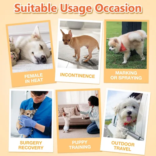 Miniatura 6 de Pet Soft, pañales desechables para mascotas, perros, cachorros, 12 unidades, 72 pañales, XXS- XL