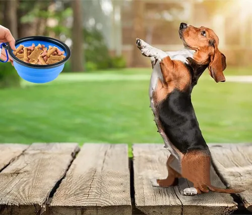 Miniatura 6 de 3 cuencos plegables de silicona para perros, plato plegable expandible para mascotas pequeñas, comida y agua, tazón portátil de viaje, etiqueta