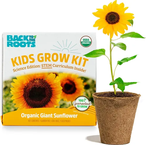 Miniatura 10 de Back to the Roots Kit de cultivo de terrario - Juego de bricolaje fácil de usar para todas las edades pequeño