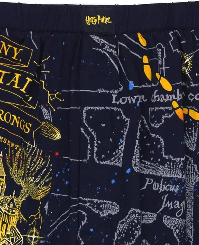 Miniatura 3 de Harry Potter Hogwarts Houses - Calzoncillos tipo bóxer para hombre