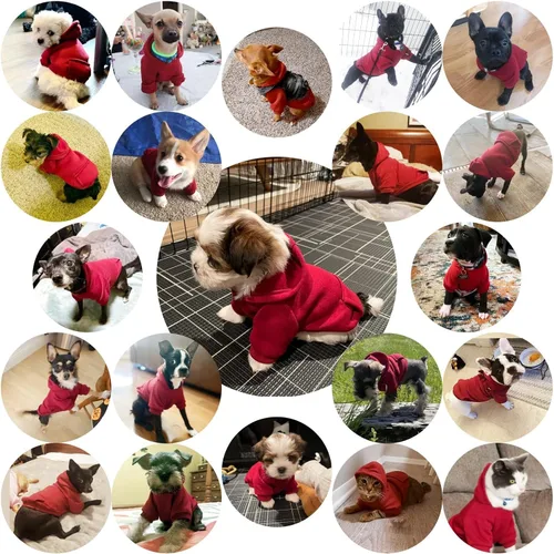 Miniatura 4 de Jecikelon Sudadera con capucha para perro de invierno con bolsillos, ropa cálida para perros pequeños, abrigo de chihuahua, ropa de cachorro y gato