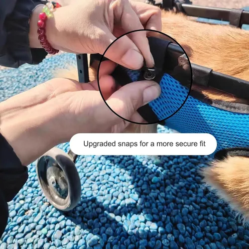 Miniatura 7 de Herramienta ligera para caminar para perros, silla de ruedas ajustable para perros, soporte para piernas y soporte de cadera para perros pequeños