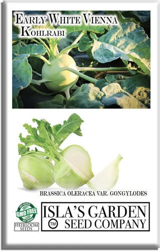 Semillas blancas de colinabo de Viena tempranas, 300 semillas de reliquia por paquete, (semillas de jardín de Isla), semillas sin OMG, nombre