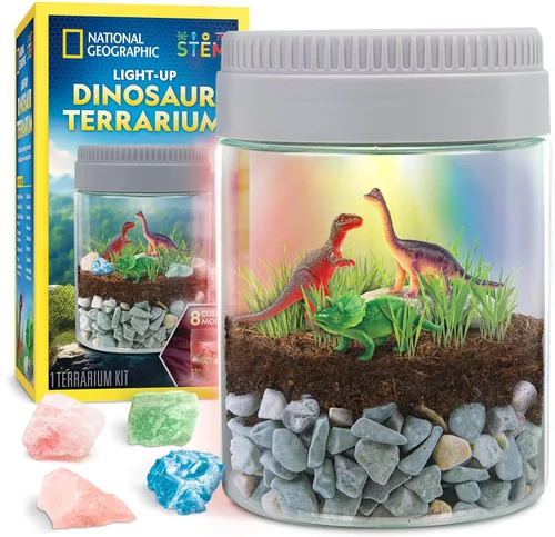 Miniatura 10 de National Geographic - Kit de terrario iluminado para niños, construye un hábitat de dinosaurios con plantas reales y piedras preciosas, kit