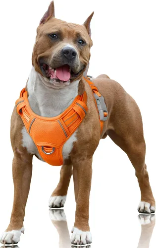 Miniatura 57 de BARKBAY Arnés para Perro Sin Tirones Talla Grande Arnés Reflectante para Perro con Clip Frontal y Asa de Control Fácil para Caminar Entrenar Correr