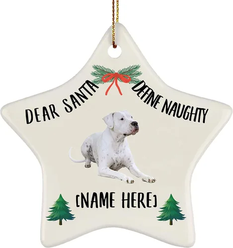 Adornos para árbol de Navidad con nombre personalizado Dogo Argentino Spotted 2025, regalos de Querido Santa Define Naughty Star Cerámica Colgantes