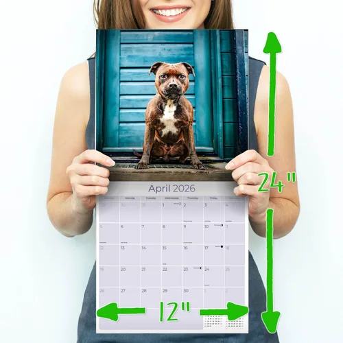 Miniatura 9 de Calendario 2025 2026 de Pitbull - Calendario de pared mensual de la raza de perro Staffordshire Bull Terrier - 12" x 24" abierto - Papel grueso sin