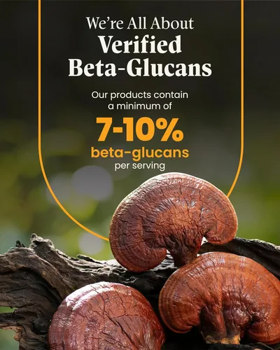 Miniatura 7 de Mezcla Cordyceps de bienestar de hongos con cápsulas Reishi: cápsulas orgánicas de hongos, suplemento en polvo de hongos, apoya el sistema
