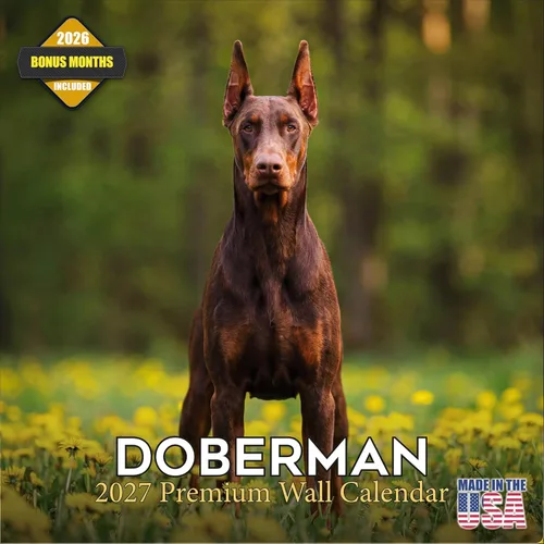 Miniatura 137 de Calendario 2025 2026 de cachorros Cocker Spaniel - Calendario mensual de pared de raza de perro - 12" x 24" abierto - Papel grueso sin sangrado