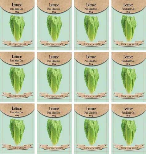 Miniatura 9 de Juego de 12 paquetes de semillas de verduras de roqueta de rúcula, crea un jardín de lujo, todas las semillas son reliquias, 100% sin OMG