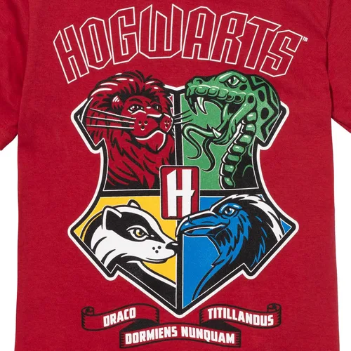 Miniatura 5 de Harry Potter Gryffindor Hufflepuff Ravenclaw Slytherin - Conjunto de pantalones cortos de camiseta