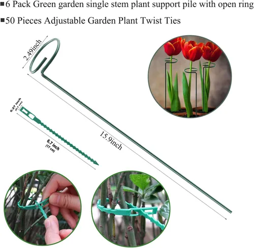 Miniatura 2 de Soporte de estaca para plantas, paquete de 6, anillos de soporte de jaula de plantas de un solo tallo para jardín, estacas de soporte para plantas