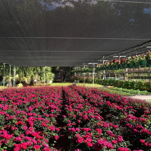 Miniatura 7 de Tronssien Tela de sombra negra 70%, red de sombra de jardín de 12 x 6 pies. Lona de malla duradera con ojales, antisombreado para jardín