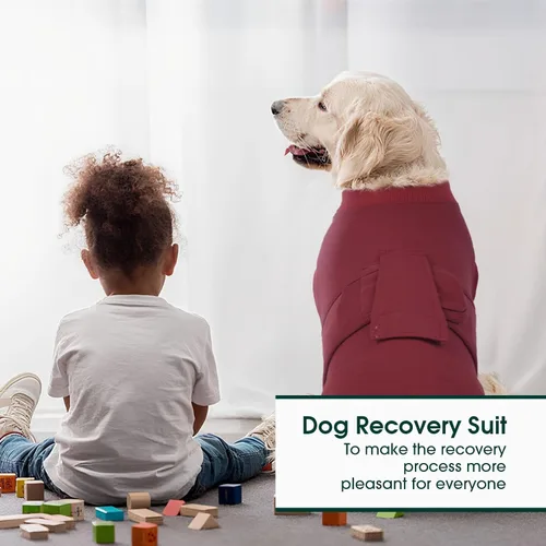 Miniatura 6 de Kuoser Traje de recuperación de cirugía para perros, traje de recuperación para perros machos hembras, mameluco para perro después de la cirugía