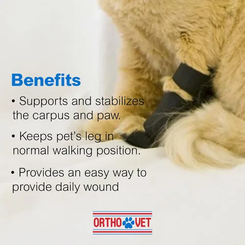 Miniatura 7 de Soporte estándar de pierna de gato para lesiones o artritis, ligero y duradero, soporte de pierna delantera para gato, protección poscirugía