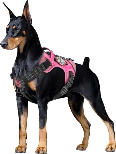 Miniatura 3 de PETNANNY Arnés táctico para perros