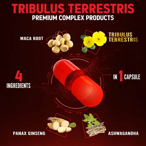 Miniatura 3 de Zolotus Cápsulas Premium de Tribulus Terrestris - Combinadas con Ashwagandha, Panax Ginseng y Maca - 90 Unidades para 3 Meses