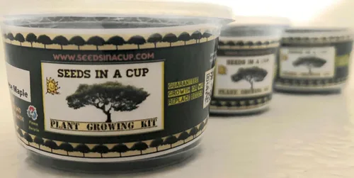 Miniatura 9 de Kit de cultivo de hierbas Iniciador de jardín de hierbas para interiores Semillas y tierra de primera calidad Paquete de 3 hierbas Múltiples