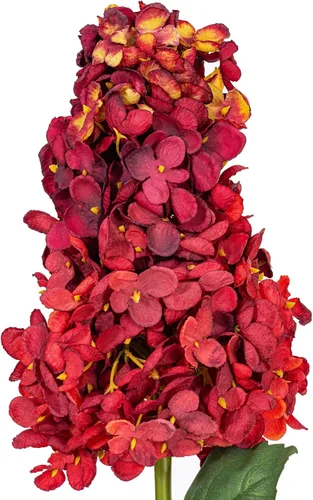 Miniatura 2 de Vickerman Espray de hortensias de cono artificial burdeos de 35.5 pulgadas, 2 por bolsa.
