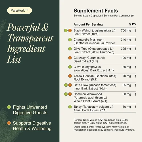 Miniatura 6 de Ecosh ParaHerb™ Ajenjo, nuez negra, clavo y rebozuelos Extracto Intestinal Cleanse – Soporte herbario para desintoxicación intestinal y digestión