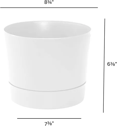 Miniatura 4 de Root & Vessel Majestic Mid-Century - Maceta cilíndrica moderna de perfil bajo, color blanco mate, 8.5 pulgadas