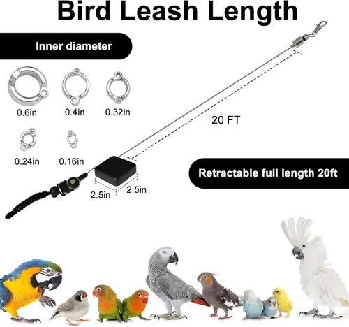 Miniatura 2 de Correa retráctil para pájaros, cuerda voladora de loro, correa de loro de cuerda de alambre antimordedura, arnés ajustable para pájaros