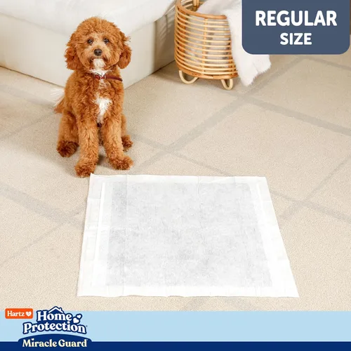 Miniatura 10 de Almohadillas para perros Hartz Home Protection Miracle Guard, tamaño regular 50 unidades, 3 veces más absorbentes y 3 veces más duraderas, no gotean