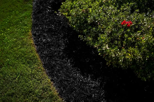 Tinte negro, cobertura de 3,200 pies cuadrados, colorante para paisajismo y camas de jardín, restaurador de color de mantillo de madera y corteza de