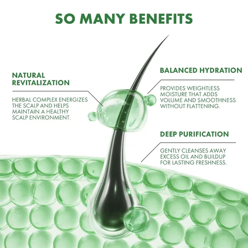 Miniatura 4 de ALFHEIM Rosemary+ - Juego de champú y acondicionador purificante tamaño de viaje, cuidado equilibrante para cabello graso y fino con aceites