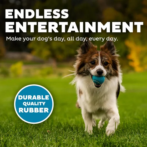 Miniatura 5 de Outward Hound Squeaker Ballz - Pelotas de tenis chirriantes para perros de menos de 25 libras, juguete interactivo para perros para buscar y Bolas