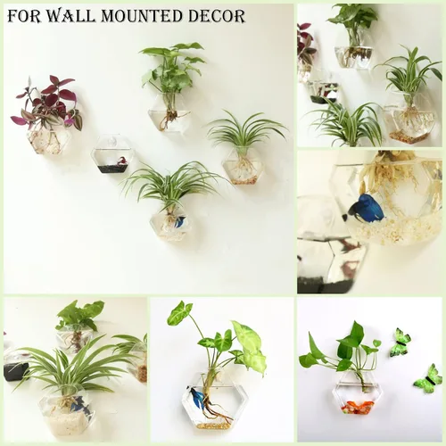 Miniatura 2 de Kingbuy Juego de Macetas Hexagonales de Pared - Paquete de 3 Jarrones de Terrario de Propagación de Vidrio con Soportes Colgantes para Plantas