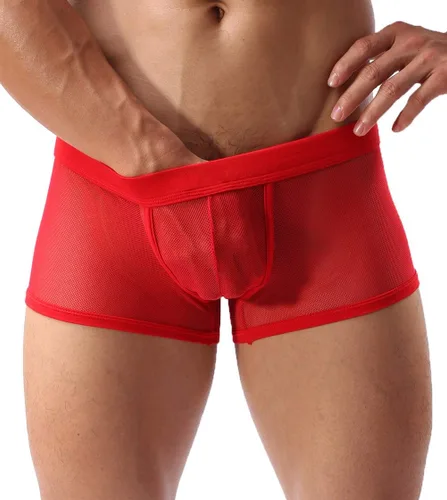 Miniatura 2 de Calzoncillos tipo bóxer de malla transpirable para hombre, lencería hueca transparente
