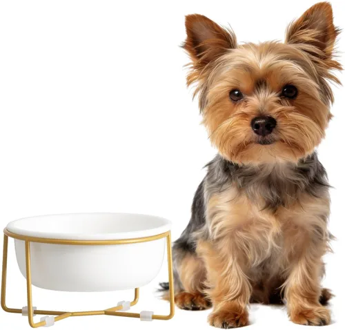 Miniatura 14 de Cuenco elevado elevado de cerámica blanca para gatos y perros, plato elevado para comida para gatos, cuenco de agua para mascotas, cómodo y cómodo