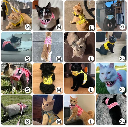 Miniatura 5 de BINGPET Arnés para gatos con correa y collar para caminar, a prueba de escapes, con correa de 59 pulgadas, arnés de chaleco suave ajustable