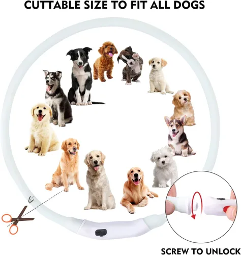 Miniatura 5 de Collar para perro LED multicolor, collar para perro recargable con 7 colores de luz intermitente, luces para perros que hacen que las mascotas sean