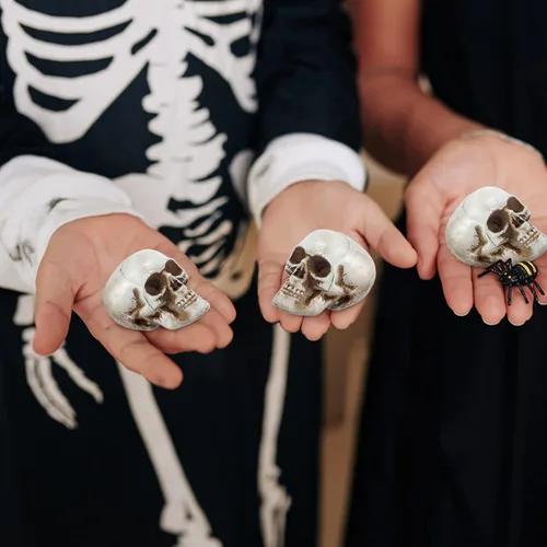 Miniatura 5 de NUOBESTY 18 piezas de mini cráneo modelo de calavera de plástico, decoraciones de esqueleto, decoración de hueso, accesorios de broma, cabezas