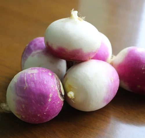 Miniatura 5 de TKE Farms & Gardens - Semillas de nabo púrpura para plantar, 0.44 onzas, 5000 semillas de reliquia, sin OMG, el paquete incluye instrucciones