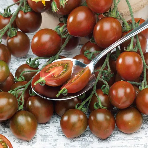Miniatura 10 de Eden Brothers Semillas de tomate – Semillas de caqui sin OMG para plantar, paquete Semillas de vegetales de bajo mantenimiento, plantas durante