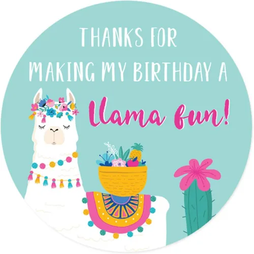 Miniatura 13 de Andaz Press Fiesta de cumpleaños de llama y cactus, banderín colgante personalizado con cuerda, cumpleaños número 16 de Emma, 5 pies, 1 juego