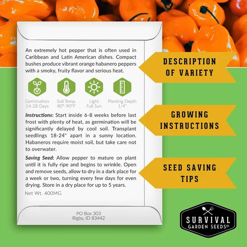 Miniatura 2 de Survival Garden Seeds - Semillas de pimiento habanero naranja, chile afrutado extremadamente picante para plantar, variedad tradicional sin OMG