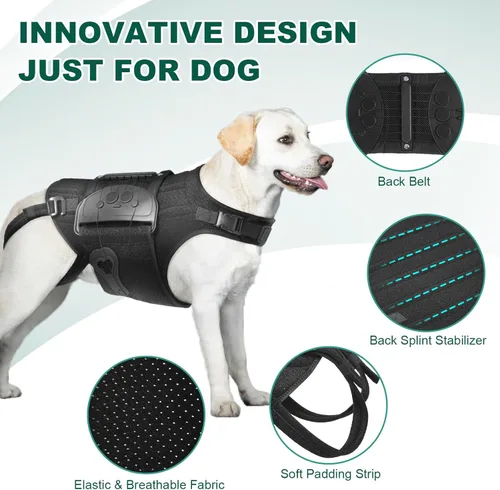 Miniatura 5 de Soporte de espalda para perro para IVDD, artritis, discos deslizados y herniados - Proporciona apoyo para la espalda y alivio del dolor, estabiliza