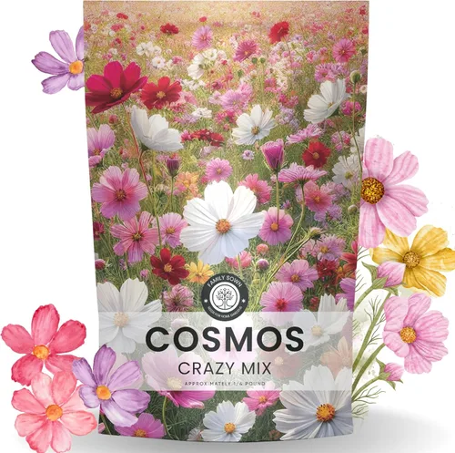 Miniatura 9 de Crazy Cosmos Mix - Sobre grande de 0.18 oz - 600 semillas de flores para plantar - Cosmos bipinnatus