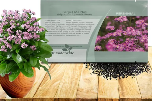 Outsidepride 5000 semillas perennes Myosotis Alpestris Forget-Me-Not Rose Garden Semillas de flores para plantar