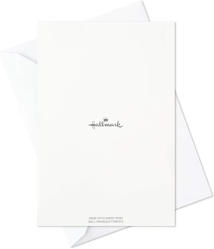 Miniatura 7 de Hallmark - Juego de tarjetas de cumpleaños, 24 tarjetas con sobres (letras arcoíris, el mejor día de todos)